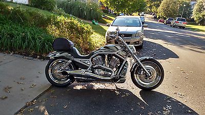 Harley-Davidson : VRSC Harley Davidson Custom 