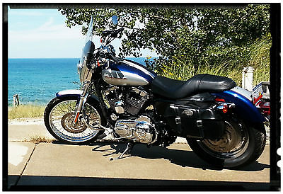 Harley-Davidson : Sportster 2006 harley davidson 1200 custom sportster