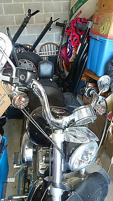 Harley-Davidson : Sportster Black and low low miles