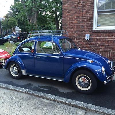 Volkswagen : Beetle - Classic blue 67 vw bug beetle