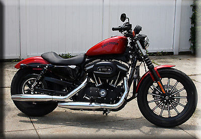 Harley-Davidson : Sportster 2013 harley davidson xl 883 n iron sportster mint condition less than 100 miles