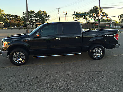 Ford : F-150 XLT Crew Cab Pickup 4-Door 2010 f 150 xlt supercrew chrome package