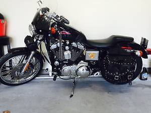 Harley-Davidson : Sportster 2000 hd 12 xl custom