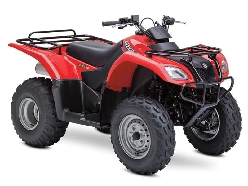 2012 Suzuki Ozark™ 250 ATV Utility