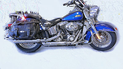 Harley-Davidson : Softail 2007 heritage softail only 2 owners