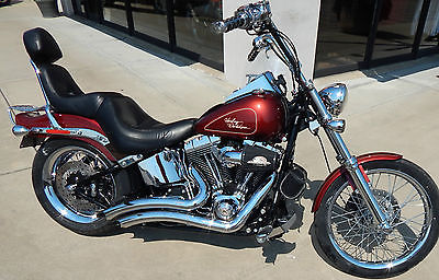 Harley-Davidson : Softail 2009 harley davidson softail custom