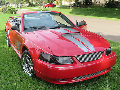 Ford : Mustang GT Tribute 2002 ford mustang convertible gt tribute