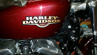 Harley-Davidson : Sportster Harley Davidson Motorcycle Sportster 2008 Red