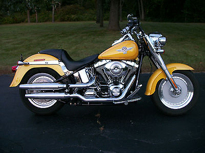 Harley-Davidson : Softail 2006 harley davidson flstf