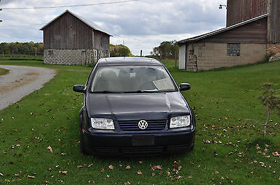 Volkswagen : Jetta TDI Sedan 4-Door 2002 tdi diesel indigo blue w beige int tranny 2 yrs good mpg clean