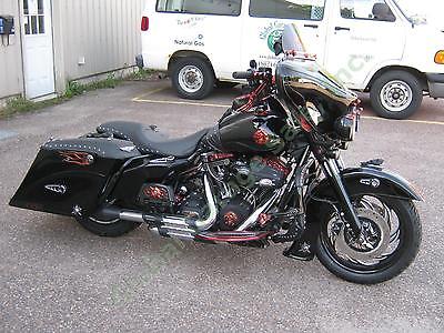 Harley-Davidson : Touring One-of-a-Kind Custom Harley Davidson 2009 Road King Classic Skulls LED Lights