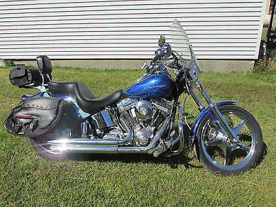 Harley-Davidson : Softail 2005 heritage softtail custom harley davidson