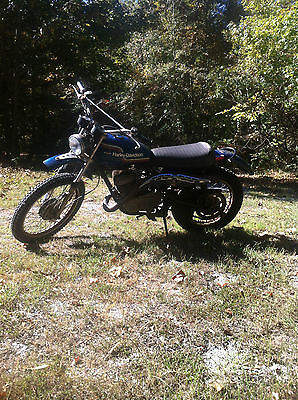Harley-Davidson : Other 1975 harley davidson sx 250 vintage motorcycle runs great reduced price buy now