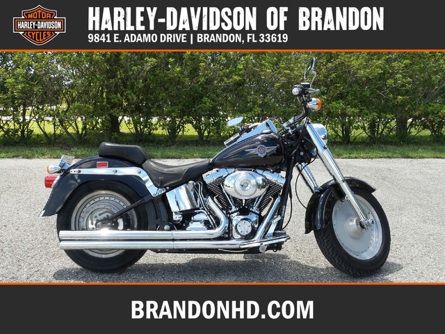 2006 Harley-Davidson FLSTS HERITAGE SOFTAIL SPRINGER