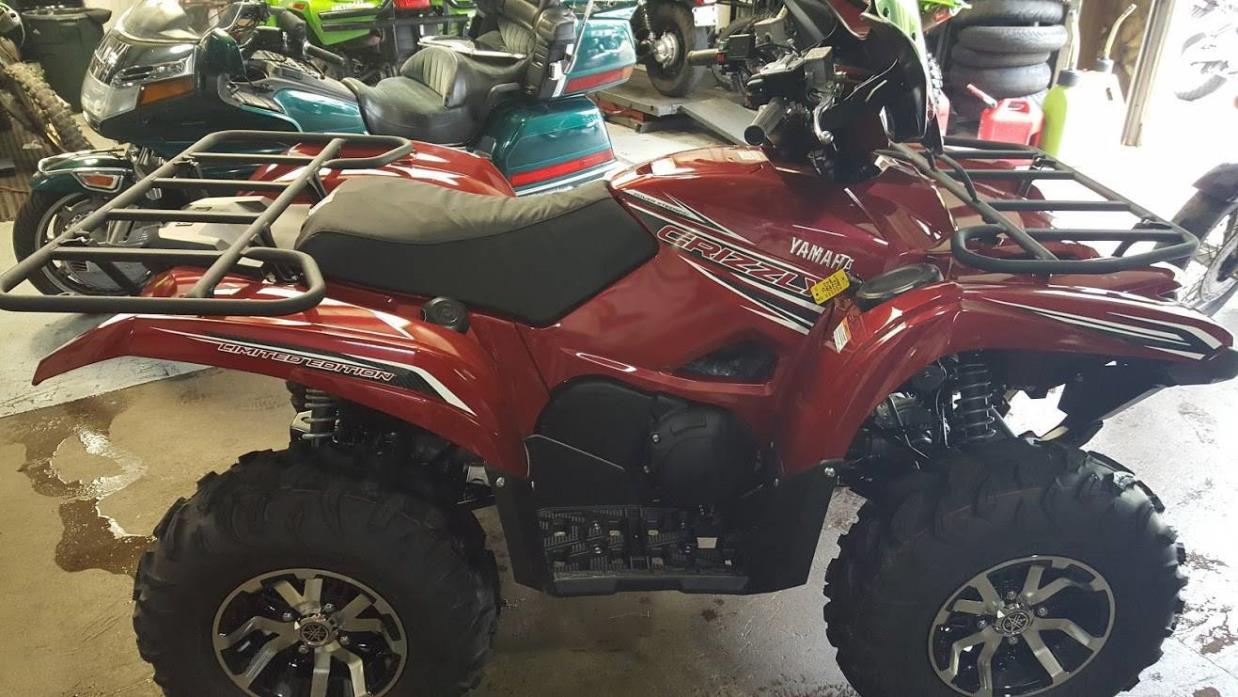 2016 Yamaha Grizzly EPS LE