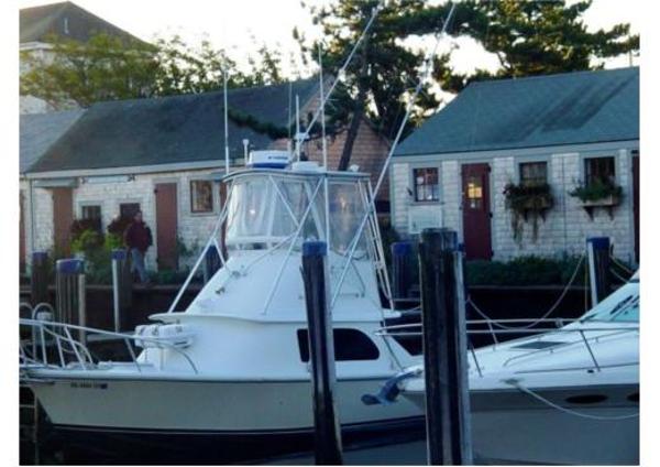 1971 Bertram 31 Flybridge Cruiser