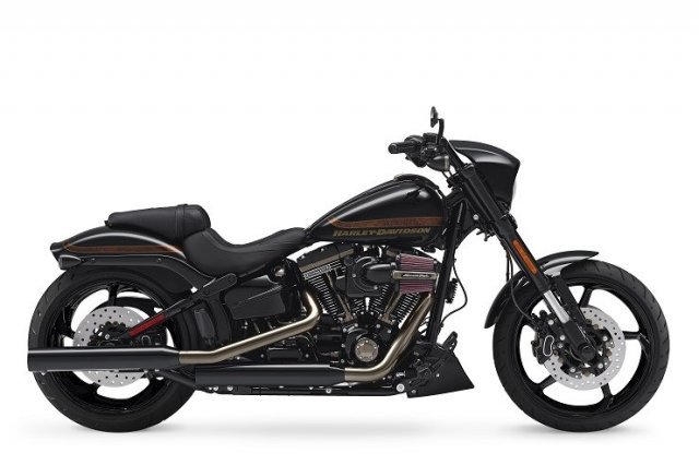 2013 Harley Davidson FLSTN