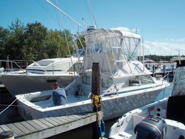 1975 Bertram 28 Flybridge CRUISER