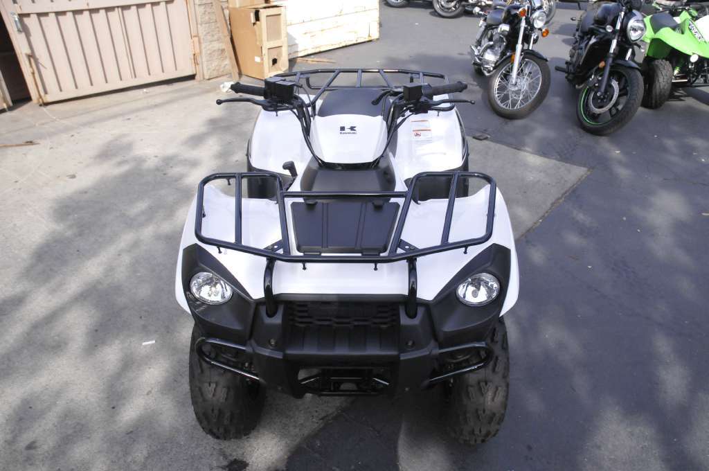 2016 Kawasaki Brute Force 300