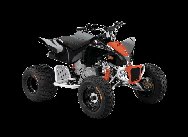 2017 Can-Am Ds 90 X