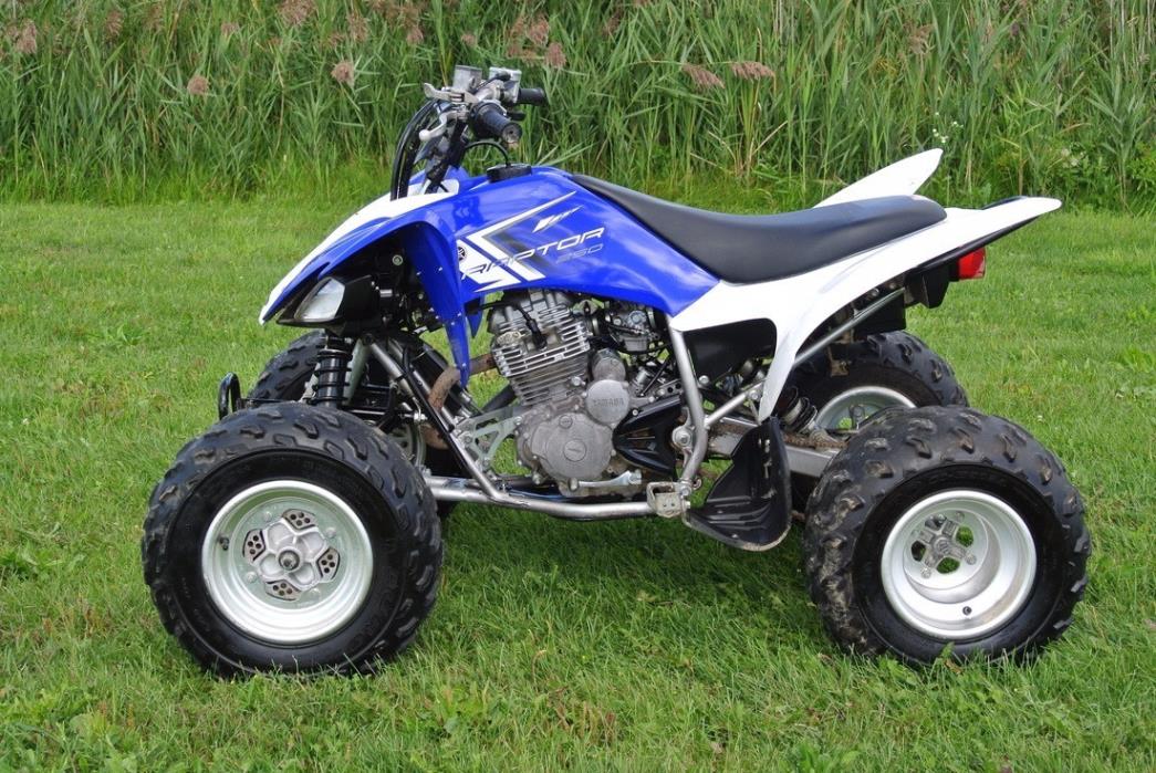 2013 Yamaha Raptor 250