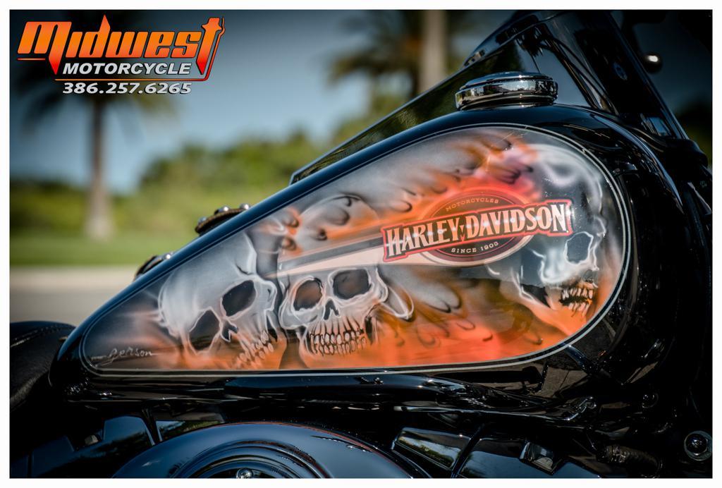 2001 Harley-Davidson SOFTAIL NIGHT TRAIN FXSTBI