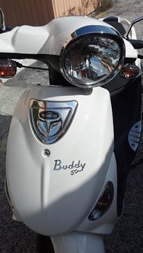 2009 Genuine Scooter Company BUDDY 125