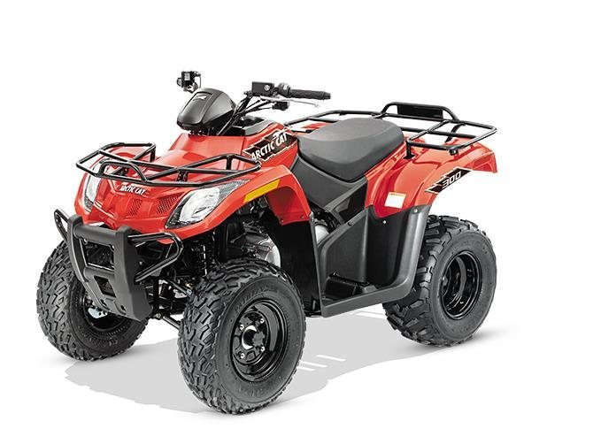 2015 Arctic Cat 300