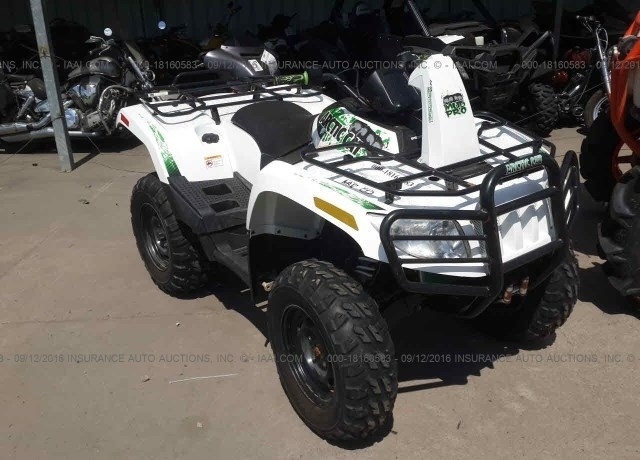 2010 Arctic Cat MUD PRO 1000