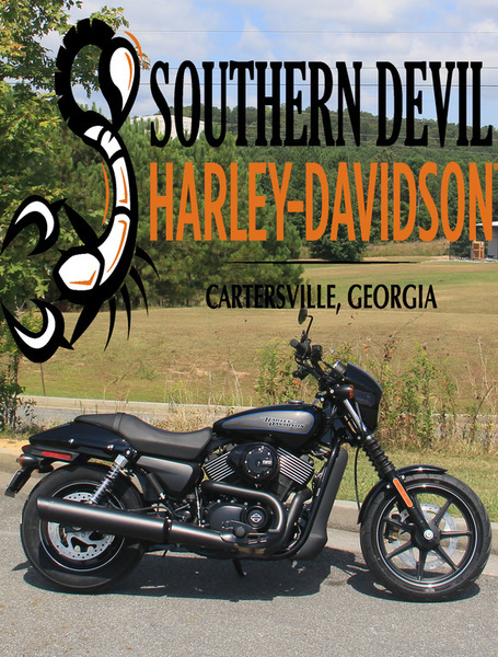 2004 Harley Davidson FLHRS ROAD KING CUSTOM