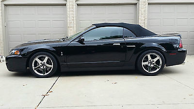 Ford : Mustang Cobra  2003 svt convertible cobra