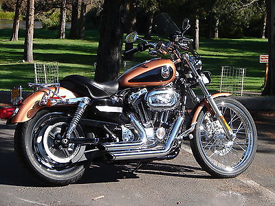 Harley-Davidson : Sportster Excellent! 105th Anniversary BLACK & COPPER Sportster 1200 Custom NEAR PERFECT!!