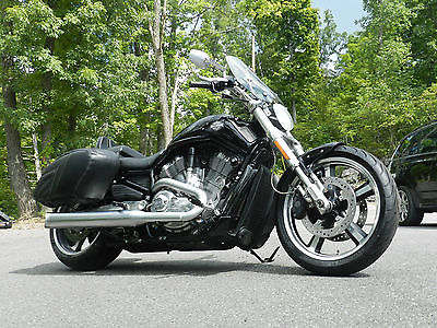 Harley-Davidson : VRSC V-Rod Muscle ABS, 2009, LOW MILES, bags,windshield, backrest & luggage rack