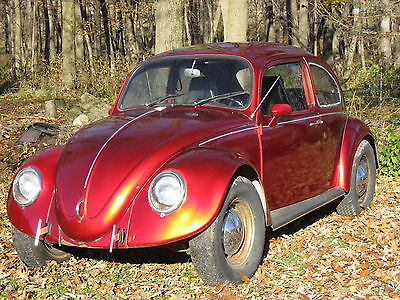 Volkswagen : Beetle - Classic Custom Red Vintage Candy Apple Red Beetle, Runs & Drives, 1965 engine, Custom Parts