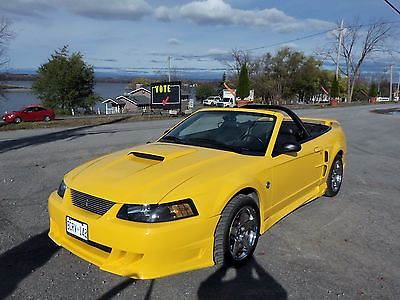 Ford : Mustang GT Showroom Condition, low mileage