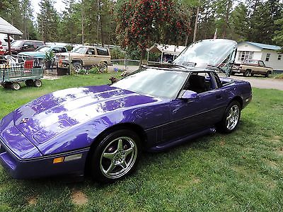 Chevrolet : Corvette Base Coupe 2-Door Preowned 1989 Chevrolet Corvette Coupe Purple SUPER NICE Hand Pin Striping