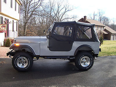 Jeep : CJ 2 doors 1980 cj 7