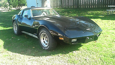 Chevrolet : Corvette Base Coupe 2-Door 1977 corvette