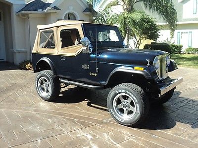 Jeep : Other Base Sport Utility 2-Door 1985 jeep cj 7 base sport utility 2 door 4.2 l