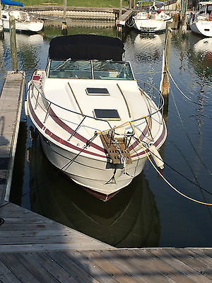 1982 Welcraft Suncrusier Project