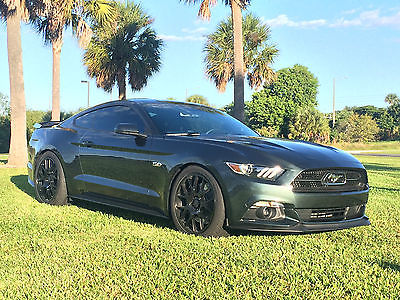 Ford : Mustang GT 50 Years Anniversary Edition 2015 steeda mustang gt guard metallic 50 th anniv package serialized sema car