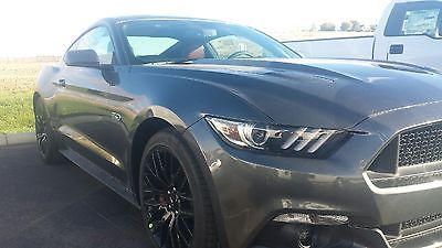 Ford : Mustang GT New Mustang