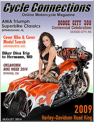 Harley-Davidson : Other 2009 harley davidson road king custom bagger