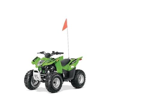 2015 Arctic Cat DVX 90 90