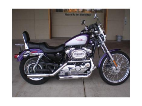 2001 Harley-Davidson XL 1200 Custom