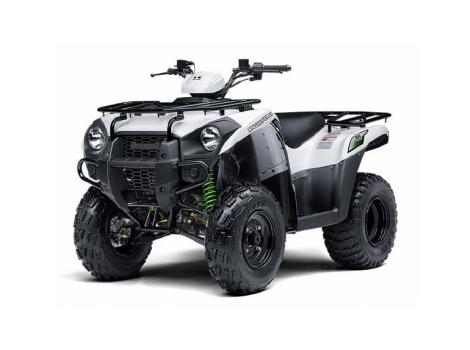 2015 Kawasaki Brute Force 300