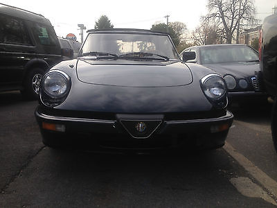 Alfa Romeo : Spider Quadrifoglio Convertible 2-Door 1987 alpha romeo quadrifoglio