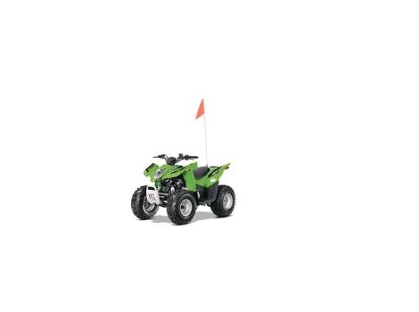 2015 Arctic Cat DVX 90