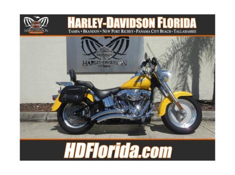 2006 Harley-Davidson FLSTF SOFTAIL FAT BOY