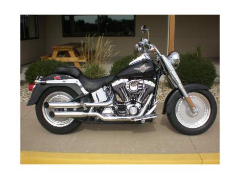 2002 Harley-Davidson Fatboy FLSTFI